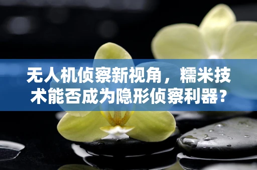 无人机侦察新视角，糯米技术能否成为隐形侦察利器？