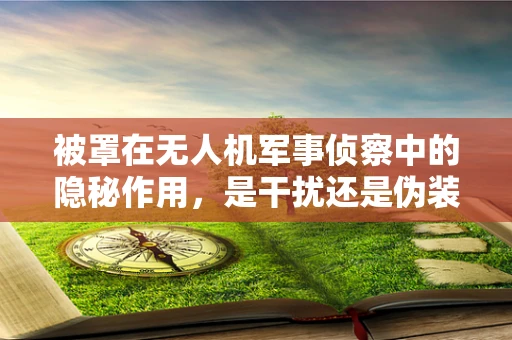 被罩在无人机军事侦察中的隐秘作用，是干扰还是伪装？