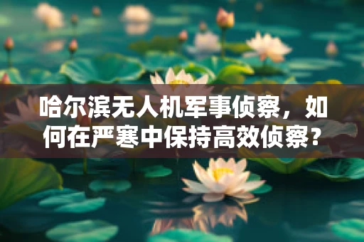 哈尔滨无人机军事侦察，如何在严寒中保持高效侦察？