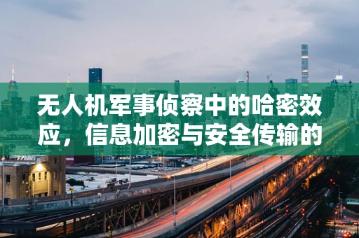 无人机军事侦察中的哈密效应，信息加密与安全传输的挑战