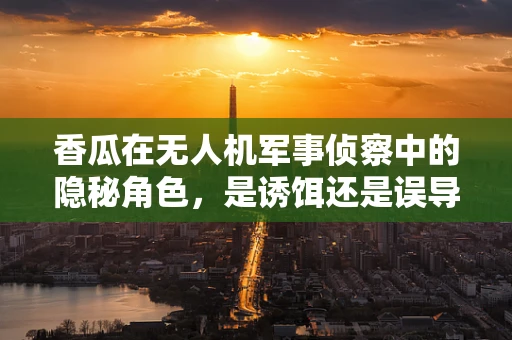香瓜在无人机军事侦察中的隐秘角色，是诱饵还是误导？