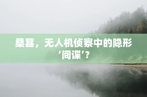 桑葚，无人机侦察中的隐形‘间谍’？