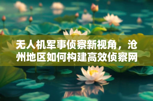 无人机军事侦察新视角，沧州地区如何构建高效侦察网络？