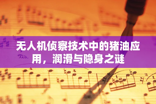 无人机侦察技术中的猪油应用，润滑与隐身之谜