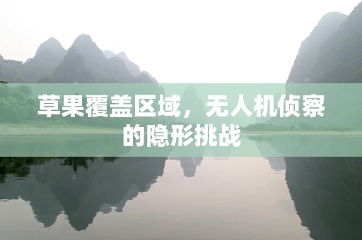 草果覆盖区域，无人机侦察的隐形挑战