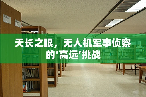 天长之眼，无人机军事侦察的‘高远’挑战