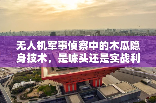 无人机军事侦察中的木瓜隐身技术，是噱头还是实战利器？