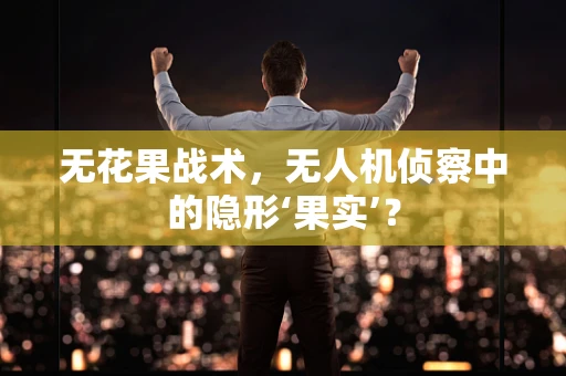 无花果战术，无人机侦察中的隐形‘果实’？