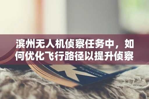 滨州无人机侦察任务中，如何优化飞行路径以提升侦察效率？