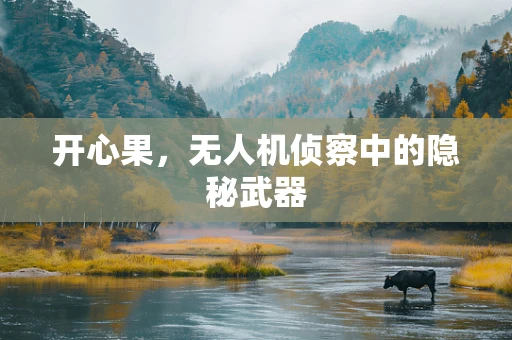 开心果，无人机侦察中的隐秘武器