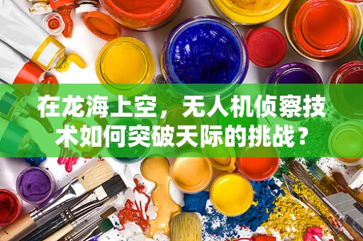 在龙海上空，无人机侦察技术如何突破天际的挑战？