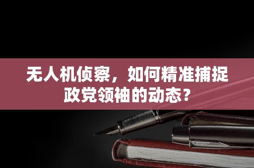 无人机侦察，如何精准捕捉政党领袖的动态？
