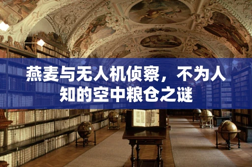 燕麦与无人机侦察，不为人知的空中粮仓之谜
