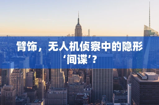 臂饰，无人机侦察中的隐形‘间谍’？