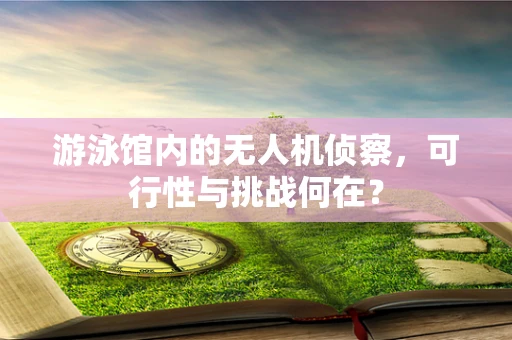 游泳馆内的无人机侦察，可行性与挑战何在？