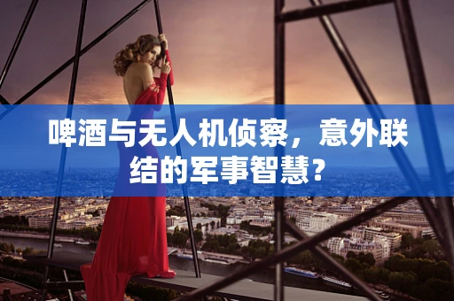 啤酒与无人机侦察，意外联结的军事智慧？