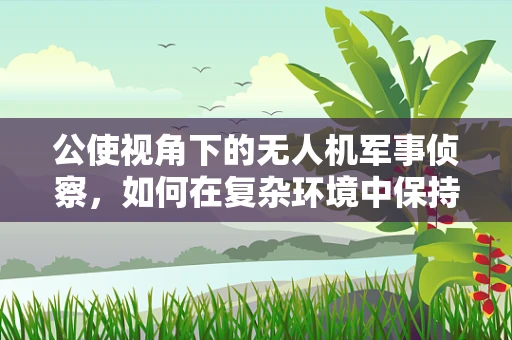 公使视角下的无人机军事侦察，如何在复杂环境中保持高效与安全？