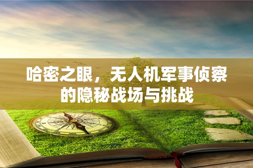 哈密之眼，无人机军事侦察的隐秘战场与挑战
