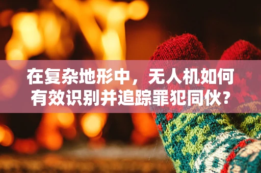 在复杂地形中，无人机如何有效识别并追踪罪犯同伙？