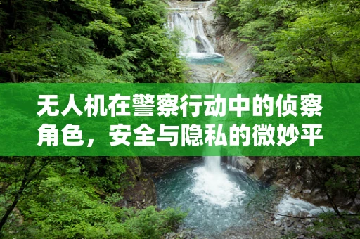 无人机在警察行动中的侦察角色，安全与隐私的微妙平衡？