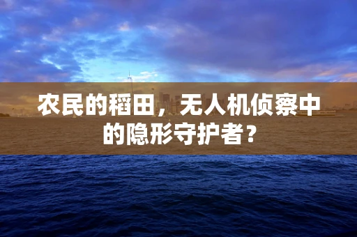 农民的稻田，无人机侦察中的隐形守护者？