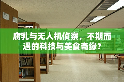 腐乳与无人机侦察，不期而遇的科技与美食奇缘？
