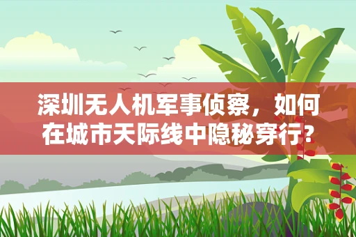深圳无人机军事侦察，如何在城市天际线中隐秘穿行？