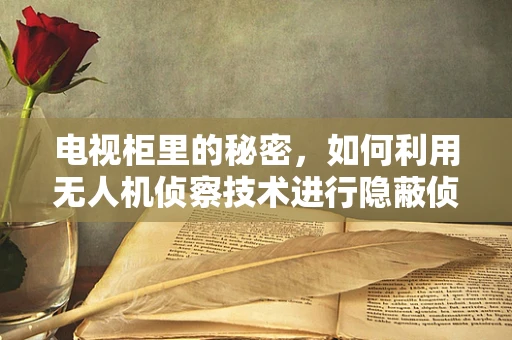 电视柜里的秘密，如何利用无人机侦察技术进行隐蔽侦察？