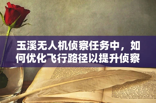 玉溪无人机侦察任务中，如何优化飞行路径以提升侦察效率？