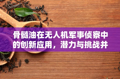 骨髓油在无人机军事侦察中的创新应用，潜力与挑战并存？