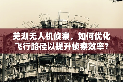 芜湖无人机侦察，如何优化飞行路径以提升侦察效率？