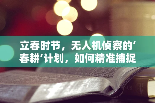 立春时节，无人机侦察的‘春耕’计划，如何精准捕捉战场‘第一缕春光’？