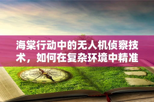海棠行动中的无人机侦察技术，如何在复杂环境中精准定位？