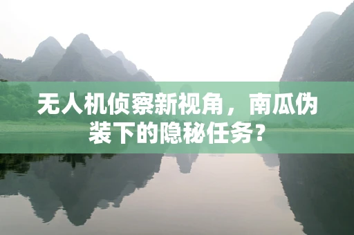 无人机侦察新视角，南瓜伪装下的隐秘任务？