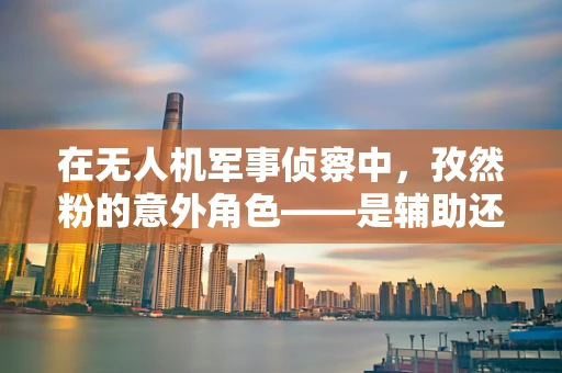 在无人机军事侦察中，孜然粉的意外角色——是辅助还是干扰？