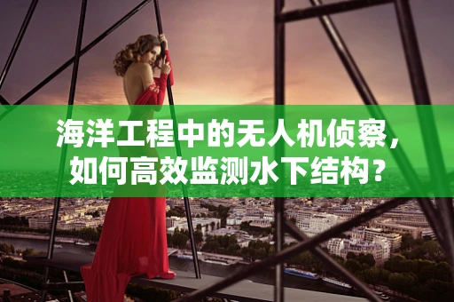海洋工程中的无人机侦察，如何高效监测水下结构？