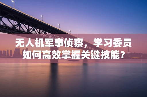 无人机军事侦察，学习委员如何高效掌握关键技能？