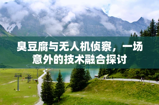 臭豆腐与无人机侦察，一场意外的技术融合探讨