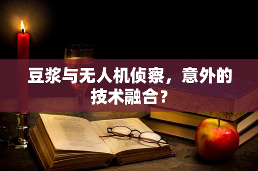 豆浆与无人机侦察，意外的技术融合？