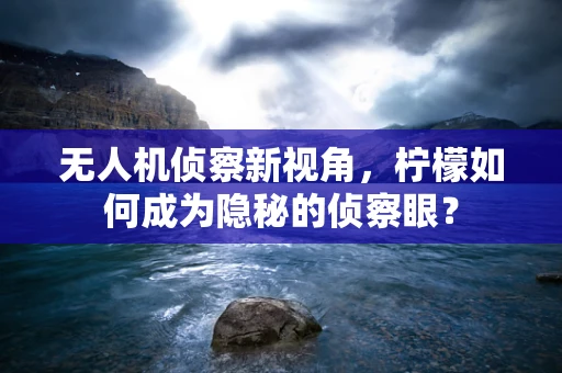 无人机侦察新视角，柠檬如何成为隐秘的侦察眼？