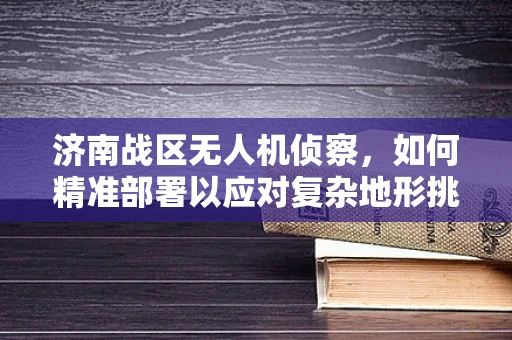济南战区无人机侦察，如何精准部署以应对复杂地形挑战？