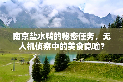 南京盐水鸭的秘密任务，无人机侦察中的美食隐喻？