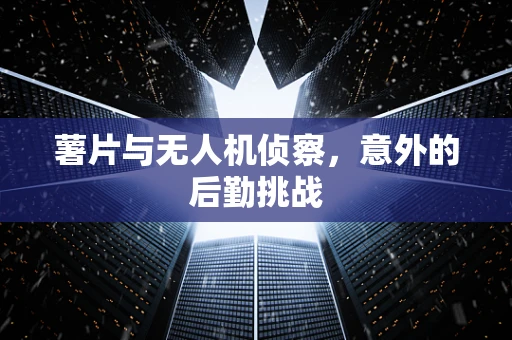 薯片与无人机侦察，意外的后勤挑战