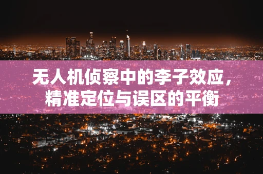 无人机侦察中的李子效应，精准定位与误区的平衡