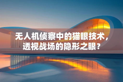 无人机侦察中的猫眼技术，透视战场的隐形之眼？