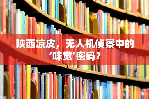 陕西凉皮，无人机侦察中的‘味觉’密码？