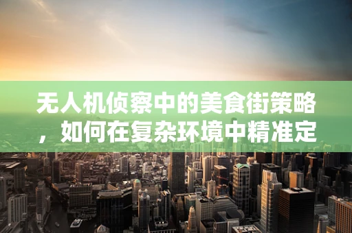 无人机侦察中的美食街策略，如何在复杂环境中精准定位？