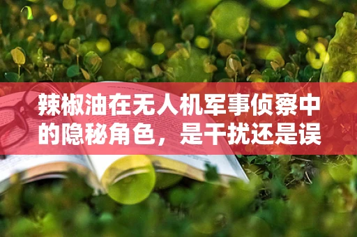 辣椒油在无人机军事侦察中的隐秘角色，是干扰还是误导？