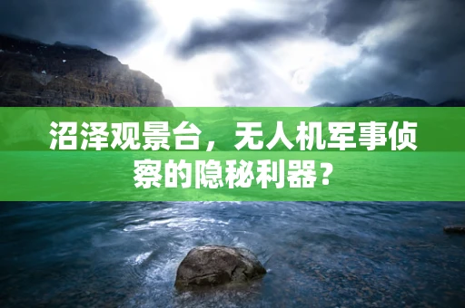 沼泽观景台，无人机军事侦察的隐秘利器？