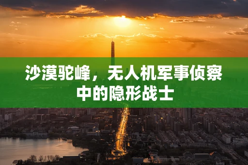 沙漠驼峰，无人机军事侦察中的隐形战士